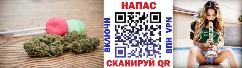 Canna-Cookies конопля  Шатура 