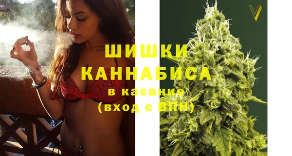 сатива Алзамай