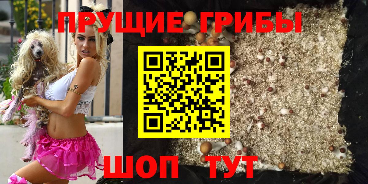 Шатура  Псилоцибиновые грибы GOLDEN TEACHER  Вход с VPN 