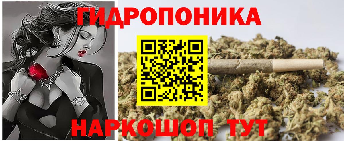 МАРИХУАНА конопля Шатура